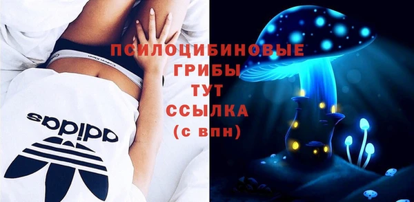 дмт Заволжск