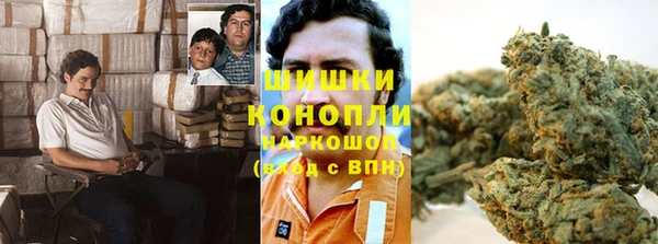 дмт Заволжск